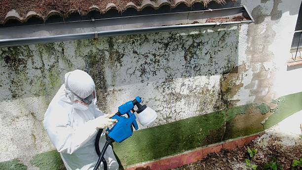 Top rated local Mold Remediation specialists in Mifflin, PA